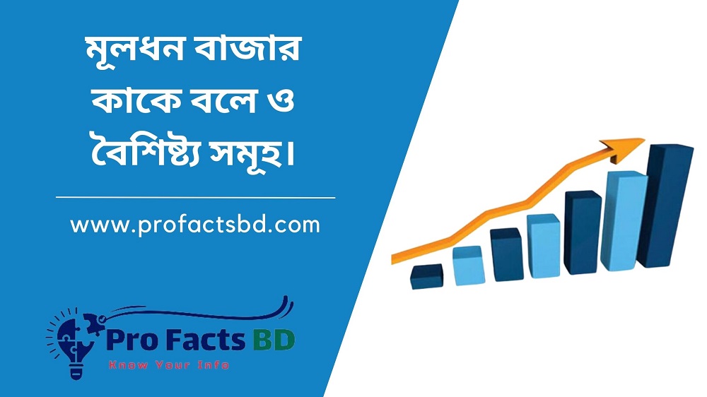 What is Capital Market?