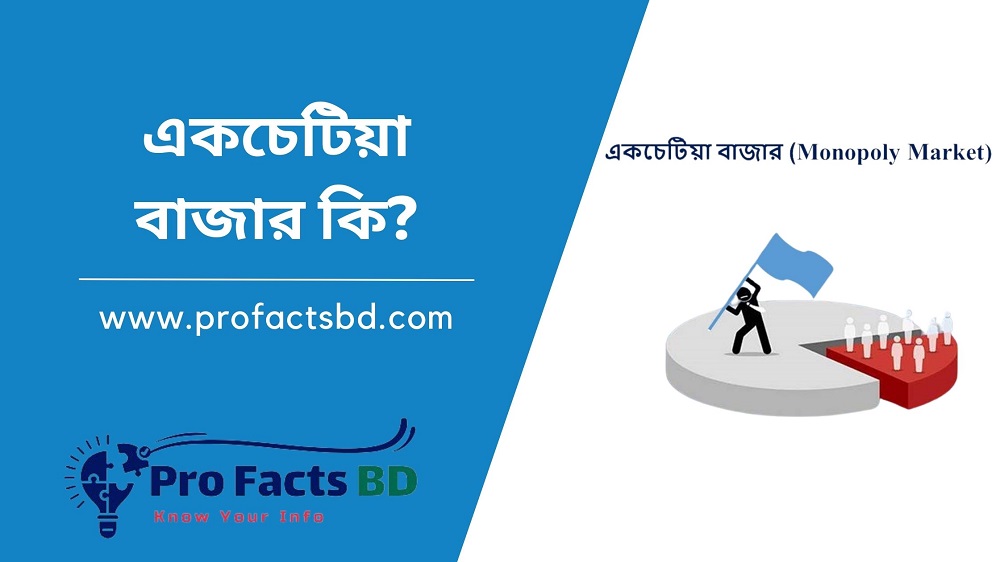 What is a monopoly market