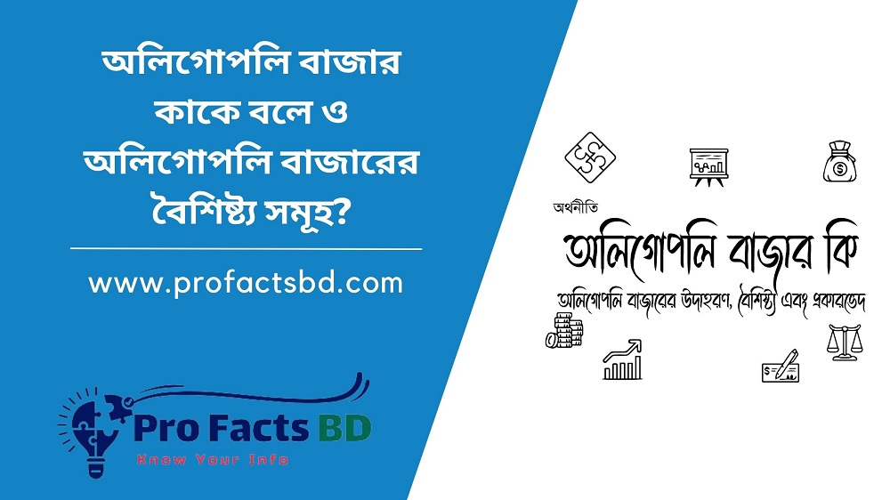 What is an oligopoly market