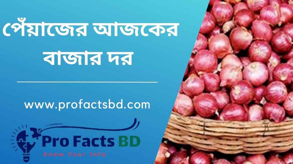 today onion price