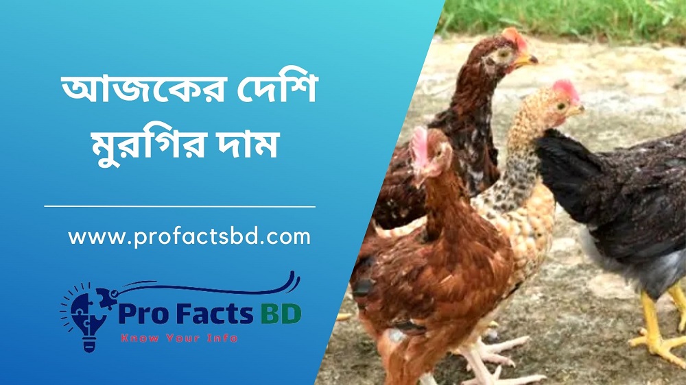 Ajker Desi Murgir Dam